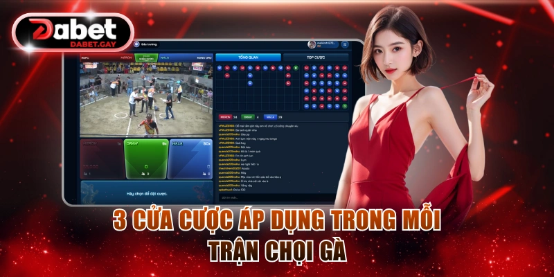 3 cửa cược áp dụng trong mỗi trận chọi gà