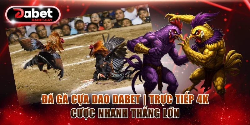 Đá gà cựa dao