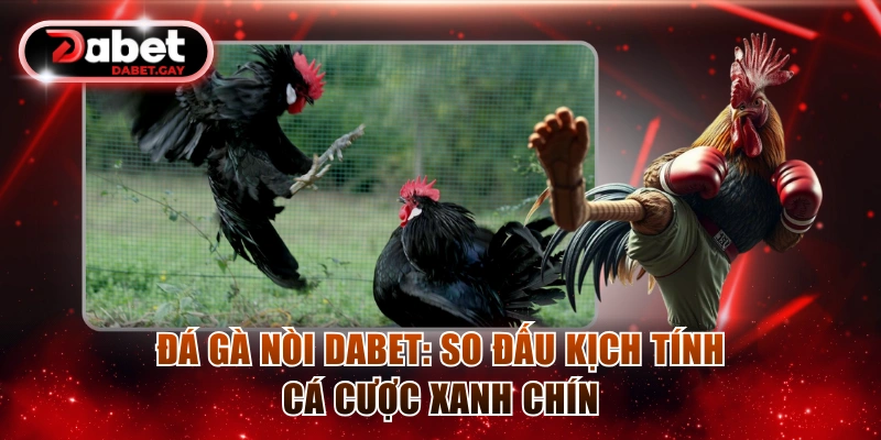 Đá gà nòi