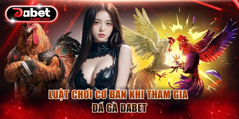 Luật chơi cơ bản khi tham gia Đá gà Dabet