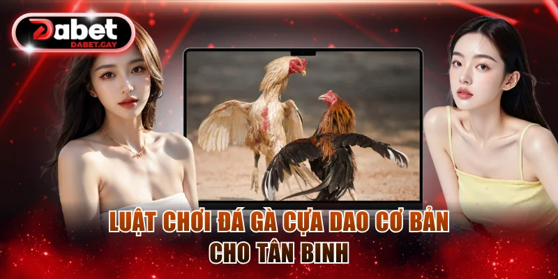 Luật chơi Đá gà cựa dao cơ bản cho tân binh