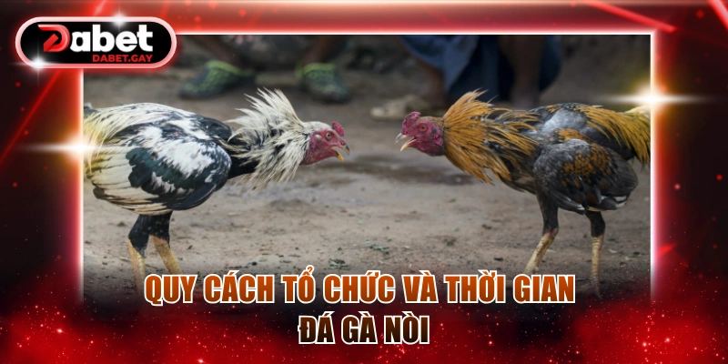Quy cách tổ chức và thời gian đá gà nòi