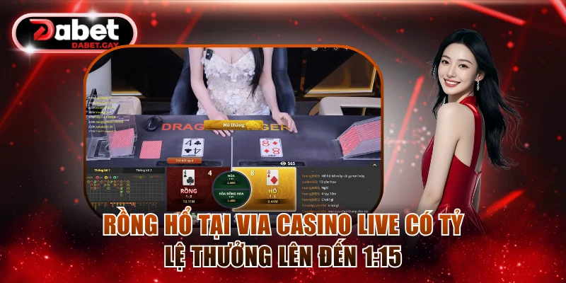 Rồng Hổ tại Via Casino Live có tỷ lệ thưởng lên đến 1:15