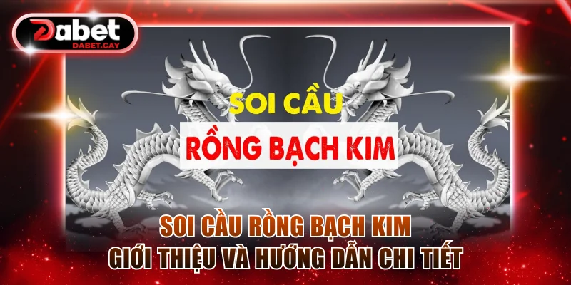 Soi cầu Rồng Bạch Kim