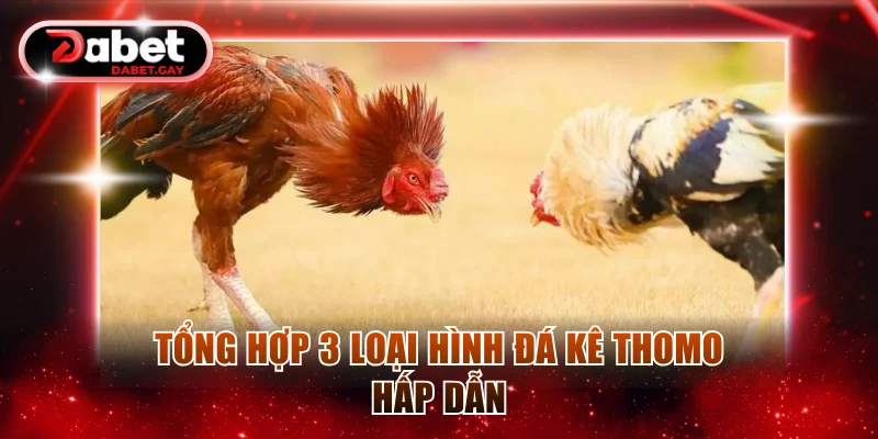 Tổng hợp 3 loại hình đá kê Thomo hấp dẫn